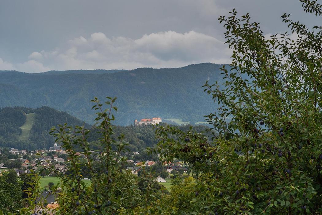 Apartmaji Gorenc Блед Екстер'єр фото